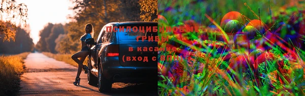 кокс Алзамай